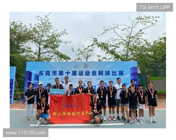 广州网球队在全国网球团队协作排行榜中荣获第十名的佳绩分析