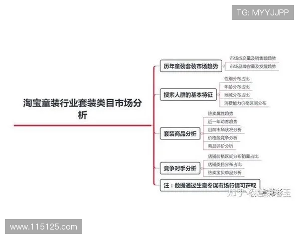 深入分析南京篮球队的运营策略与市场推广模式