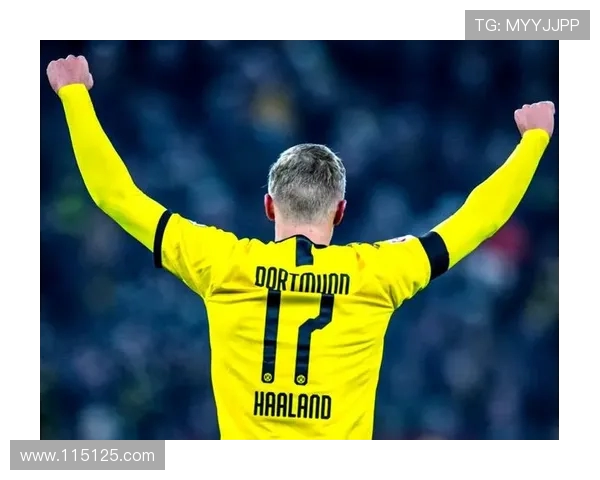 哈兰德:从天才少年到足球巨星的蜕变之路与未来展望