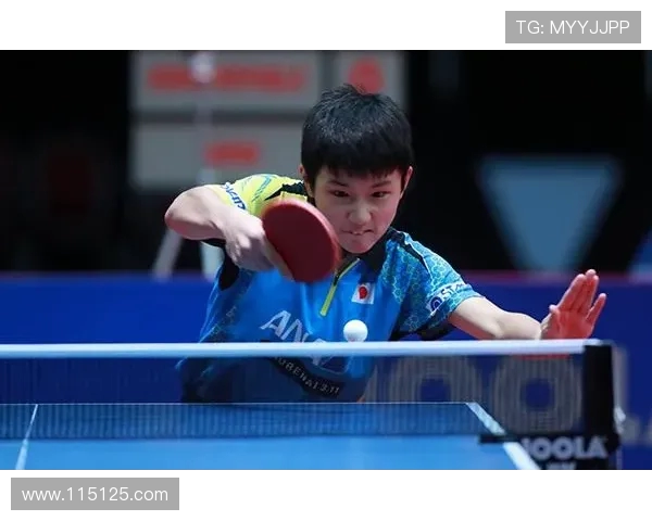 上海乒乓球队总决赛精彩表现分析团队协作的重要性与影响