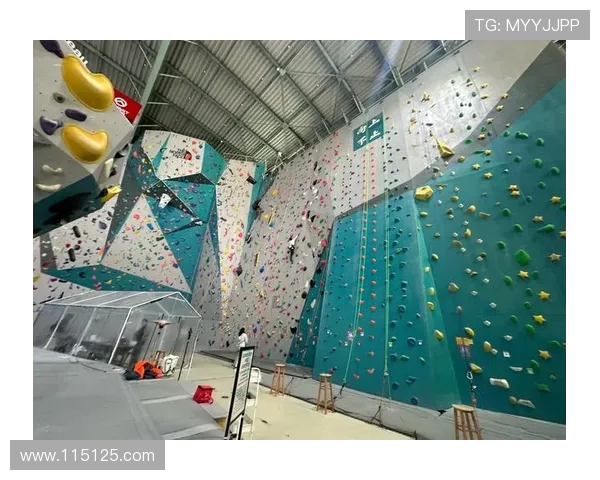 上海攀岩队包夹革新之路探索与实践的深度剖析 上海攀岩队包夹革新之路探索与实践的深度剖析