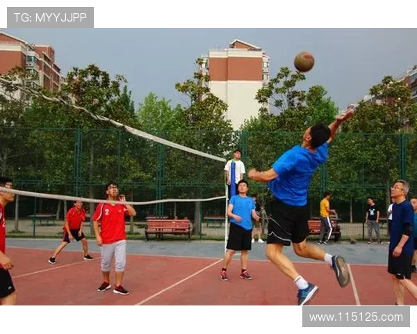 刘秀英独家分享排球技巧与心得体会助你提升竞技水平