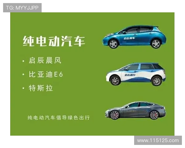 深圳网球队的崛起与发展探讨聚焦网球力量与未来潜力